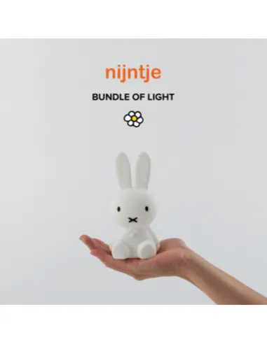 Mr Maria Nijntje - Bundle of Light